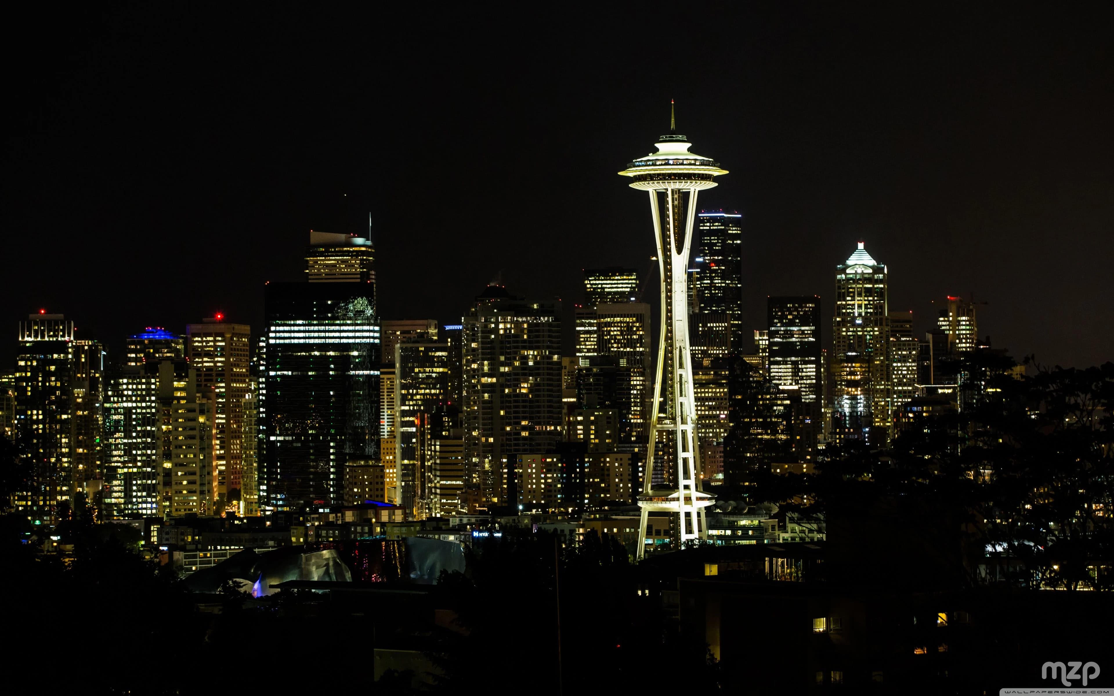 Photo of nighttime seattle